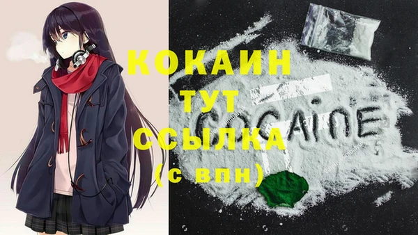 эйфоретик Арсеньев