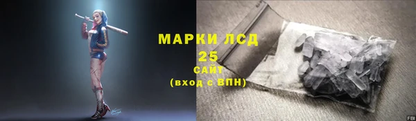 ПСИЛОЦИБИНОВЫЕ ГРИБЫ Аркадак