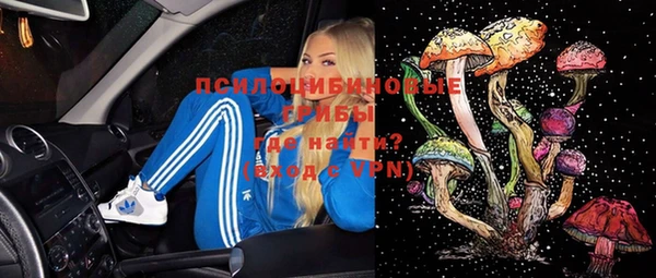 ПСИЛОЦИБИНОВЫЕ ГРИБЫ Аркадак